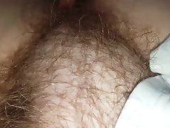 yaprak altında seksi yumuşak habersiz tüylü kedi wifes