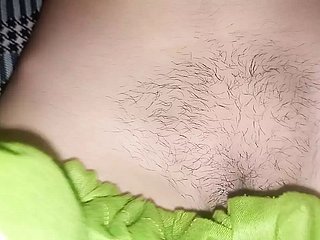 나의 귀여운 고양이 파키스탄 소녀 고양이 처녀