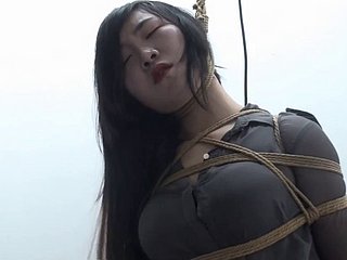 中国逍遥352