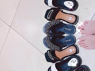 CHINESE Wholesale FRIEND ,BEAUTY Trotters