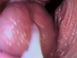 Cumshot / Creampie Derleme